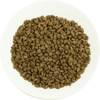 Pro Choice Pro 34 Somonlu ve Pirinçli Yetişkin Kedi Maması 2 Kg 