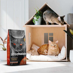 Pro Choice Pro33 Adult Cat Salmon&Karides Kısırlaştırılmış Kedi Maması - Thumbnail