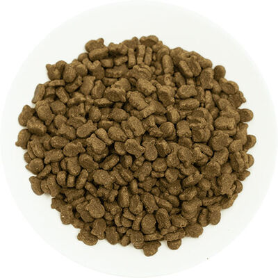 Pro Choice Sensitive Skin Balıklı ve Pirinçli Yetişkin Köpek Maması 12 Kg 