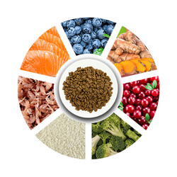 Pro Choice Sensitive Skin Balıklı ve Pirinçli Yetişkin Köpek Maması 12 Kg - Thumbnail