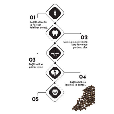 Pro Performance Kızlıcıklı Kuzulu Karidesli ve Somonlu Kısırlaştırılmış Kedi Maması 2 Kg 