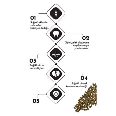 Pro Performance Kızlıcıklı Tavuklu Karidesli ve Somonlu Yetişkin Kedi Maması 15 Kg 