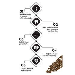 Pro Performance Kuzulu ve Pirinçli Yavru Kedi Maması 15 Kg - Thumbnail