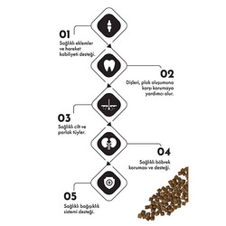 Pro Performance Kuzulu ve Pirinçli Yavru Kedi Maması 2 Kg - Thumbnail