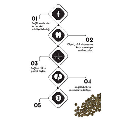 Pro Performance Kuzulu ve Pirinçli Yetişkin Kedi Maması 15 Kg 