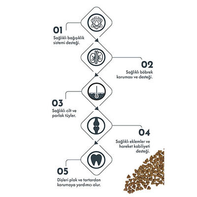 Pro Performance Kuzulu ve Yaban Mersinli Küçük Irk Light Kısırlaştırılmış Köpek Maması 2 Kg 
