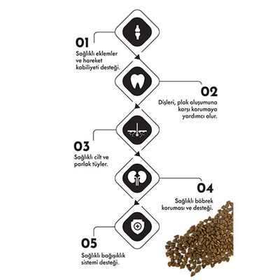Pro Performance Kuzulu ve Yaban Mersinli Küçük Irk Yetişkin Köpek Maması 12 Kg 