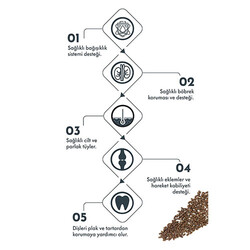 Pro Performance Kuzulu ve Yaban Mersinli Küçük Irk Yetişkin Köpek Maması 2 Kg - Thumbnail