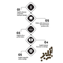 Pro Performance Kuzulu ve Yaban Mersinli Orta ve Büyük Irk Yavru Köpek Maması 12 Kg - Thumbnail