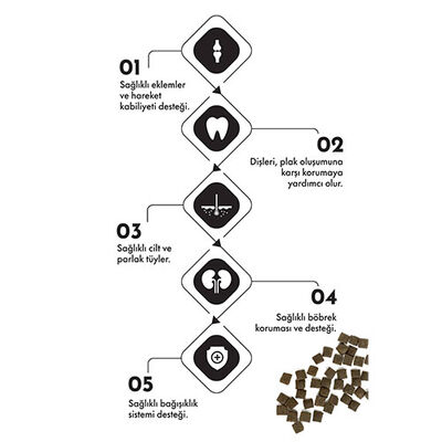 Pro Performance Kuzulu ve Yaban Mersinli Orta ve Büyük Irk Yetişkin Köpek Maması 12 Kg 