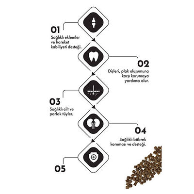 Pro Performance Mother Baby Kitten Somonlu ve Pirinçli Anne Yavru Kedi Mamsı 15 Kg 