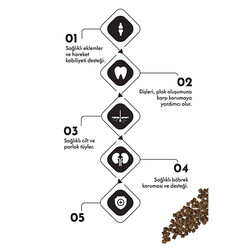 Pro Performance Mother Baby Kitten Somonlu ve Pirinçli Anne Yavru Kedi Maması 2 Kg - Thumbnail