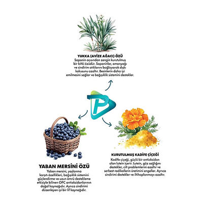 Pro Performance Somonlu ve Pirinçli Orta ve Büyük Irk Yetişkin Köpek Maması 12 Kg 