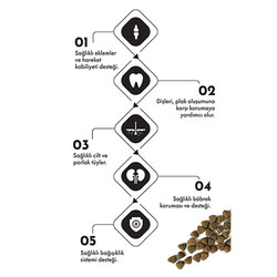 Pro Performance Somonlu ve Pirinçli Orta ve Büyük Irk Yetişkin Köpek Maması 12 Kg - Thumbnail