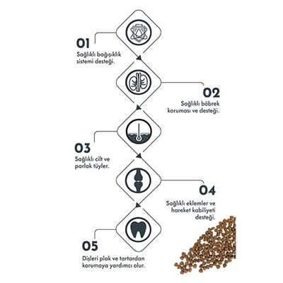Pro Performance Somonlu ve Yaban Mersinli Küçük Irk Yetişkin Köpek Maması 7 Kg 