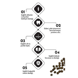 Pro Performance Somonlu ve Yaban Mersinli Orta ve Büyük Irk Yavru Köpek Maması 12 Kg - Thumbnail