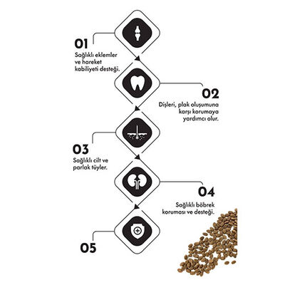 Pro Performance Tavuklu ve Pirinçli Kısırlaştırılmış Kedi Maması 2 Kg  Pro Performance Tavuklu ve Pirinçli Kısırlaştırılmış Kedi Maması 2 Kg