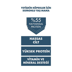 Pro Performance Ultra Premium Somonlu Yetişkin Köpek Konservesi 6 Adet 400 Gr - Thumbnail