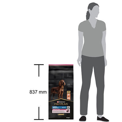 Pro Plan Large Atletic Sensıtıve Skin Somonlu Büyük Irk Yetişkin Köpek Maması 14 Kg 
