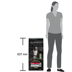 Pro Plan Medium Adult Sensitive Digestion Kuzulu Orta Irk Yetişkin Köpek Maması 14 Kg - Thumbnail