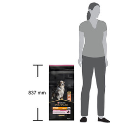 Pro Plan Medium Large Senior Sensitive Skin Somonlu ve Pirinçli Orta ve Büyük Irk Yaşlı Köpek Maması 14 Kg - Thumbnail