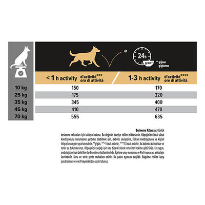Pro Plan Medium Large Senior Sensitive Skin Somonlu ve Pirinçli Orta ve Büyük Irk Yaşlı Köpek Maması 14 Kg 