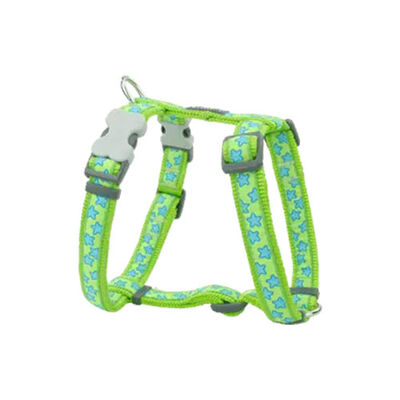 Reddingo Lime Üzerine Turkuaz Yıldızlı Köpek Göğüs Tasması Medium 20 Mm 