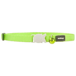 Reddingo - Reddingo Lime Yavru Kedi Boyun Tasması 8 Mm 
