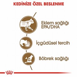 Royal Canin Ageing 12+ Gravy Pouch Yaşlı Kedi Konservesi 12 Adet 85 Gr - Thumbnail