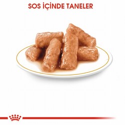 Royal Canin British Shorthair Adult Pouch Yetişkin Kedi Konservesi 12 Adet 85 Gr - Thumbnail