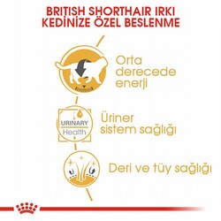 Royal Canin British Shorthair Adult Pouch Yetişkin Kedi Konservesi 12 Adet 85 Gr - Thumbnail