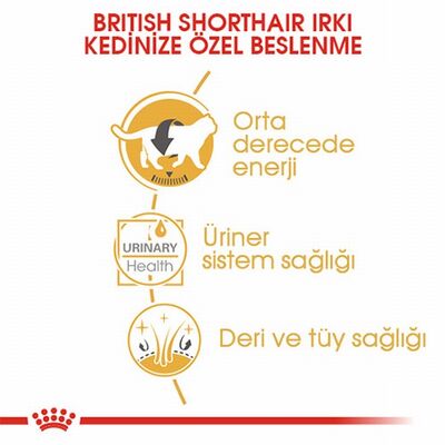Royal Canin British Shorthair Adult Pouch Yetişkin Kedi Konservesi 12 Adet 85 Gr 