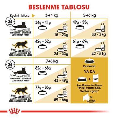 Royal Canin British Shorthair Adult Yetişkin Kedi Maması 10 Kg 