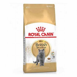 Royal Canin Kedi Mamaları - Royal Canin British Shorthair Adult Yetişkin Kedi Maması 10 Kg 