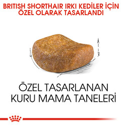 Royal Canin British Shorthair Adult Yetişkin Kedi Maması 2 Kg - Thumbnail
