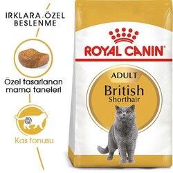 Royal Canin British Shorthair Adult Yetişkin Kedi Maması 2 Kg - Thumbnail