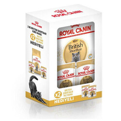 Royal Canin - Royal Canin British Shorthair Adult Yetişkin Kedi Maması 2 Kg+2 Adet Pouch Hediye 