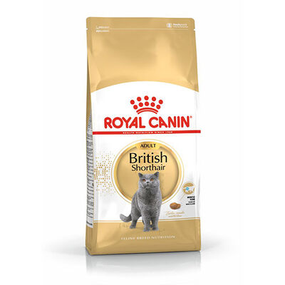 Royal Canin British Shorthair Adult Yetişkin Kedi Maması 4 Kg 
