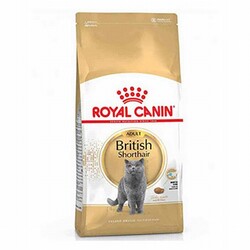 Royal Canin - Royal Canin British Shorthair Adult Yetişkin Kedi Maması 4 Kg 