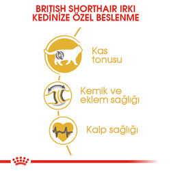 Royal Canin British Shorthair Adult Yetişkin Kedi Maması 4 Kg - Thumbnail