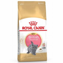 Royal Canin - Royal Canin British Shorthair Kitten Yavru Kedi Maması 2 Kg 