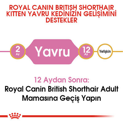 Royal Canin British Shorthair Kitten Yavru Kedi Maması 2 Kg 