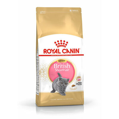 Royal Canin British Shorthair Kitten Yavru Kedi Maması 2 Kg 