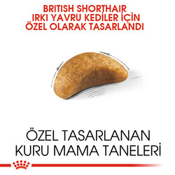 Royal Canin British Shorthair Kitten Yavru Kedi Maması 2 Kg - Thumbnail
