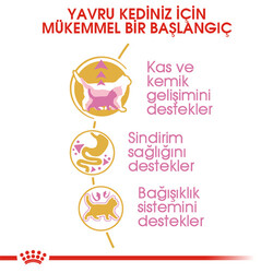 Royal Canin British Shorthair Kitten Yavru Kedi Maması 2 Kg - Thumbnail