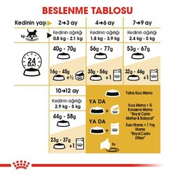 Royal Canin British Shorthair Kitten Yavru Kedi Maması 2 Kg - Thumbnail