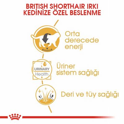 Royal Canin British Shorthair Adult Pouch Yetişkin Kedi Konservesi 85 Gr 