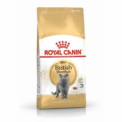 Royal Canin Kedi Mamaları - Royal Canin British Shorthair Adult Yetişkin Kedi Maması 400 Gr 