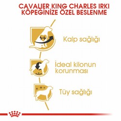 Royal Canin Cavalier King Charles Adult Yetişkin Köpek Maması 1,5 Kg - Thumbnail