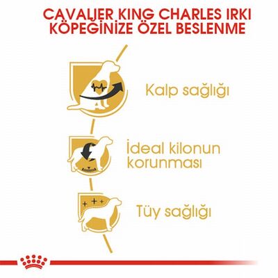 Royal Canin Cavalier King Charles Adult Yetişkin Köpek Maması 1,5 Kg 